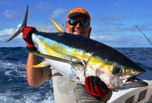 splendides couleurs du thon jaune - Rod Fishing Club - Ile Rodrigues - Maurice - Océan Indien