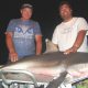 requin - Rod Fishing Club - Ile Rodrigues - Maurice - Océan Indien