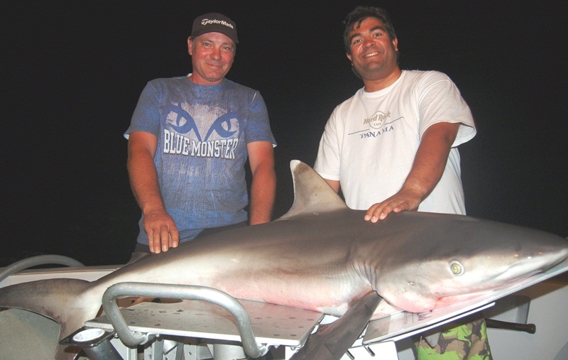 requin - Rod Fishing Club - Ile Rodrigues - Maurice - Océan Indien