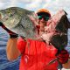 bluefin trevally cut - Rod Fishing Club - Rodrigues Island - Mauritius - Indian Ocean