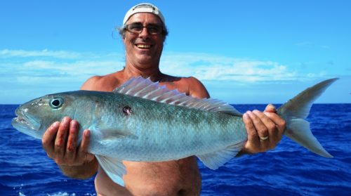 poisson poulet ou aprion - Rod Fishing Club - Ile Rodrigues - Maurice - Océan Indien