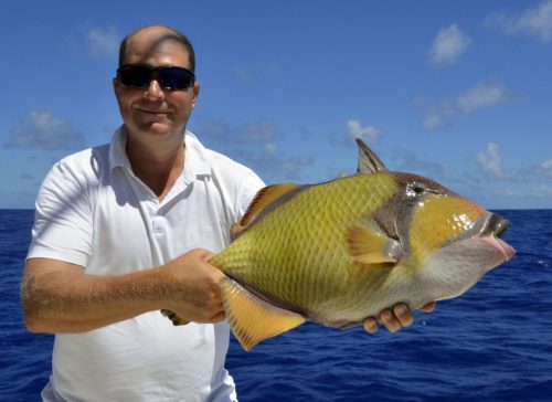 Baliste vert en pêche a l'appât - www.rodfishingclub.com - Rodrigues - Maurice - Océan Indien