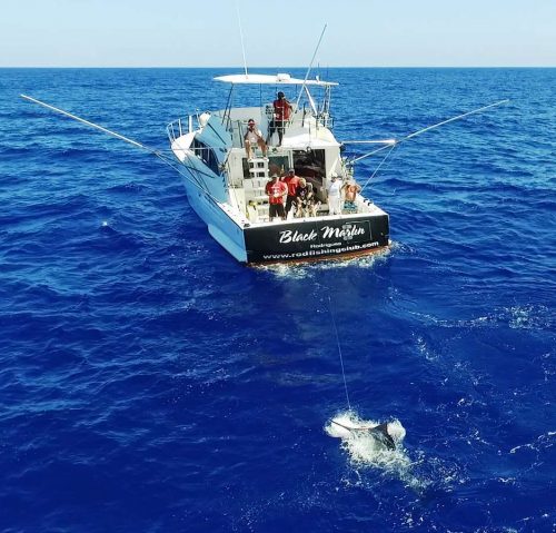 Combat de marlin vu du drone - Rod Fishing Club - Ile Rodrigues - Maurice - Océan Indien