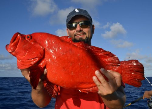 Mama rouge en pêche a l'appât - www.rodfishingclub.com - Rodrigues - Maurice - Océan Indien