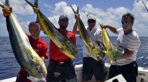 Quadruplé de dorades en pêche a la traîne - www.rodfishingclub.com - Rodrigues - Maurice - Océan Indien