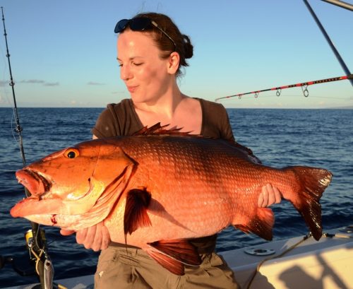 carpe rouge - Rod Fishing Club - Ile Rodrigues - Maurice - Océan Indien