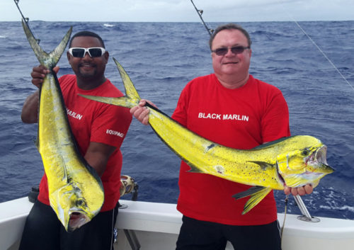 doublé de dorades coryphènes - Rod Fishing Club - Ile Rodrigues - Maurice - Océan Indien