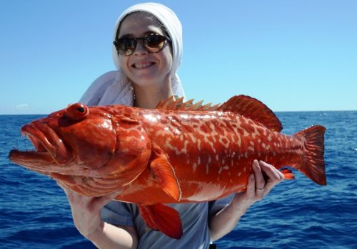 mérou babone - Rod Fishing Club - Ile Rodrigues - Maurice - Océan Indien