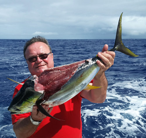 thon jaune cisaillé par un wahoo - Rod Fishing Club - Ile Rodrigues - Maurice - Océan Indien