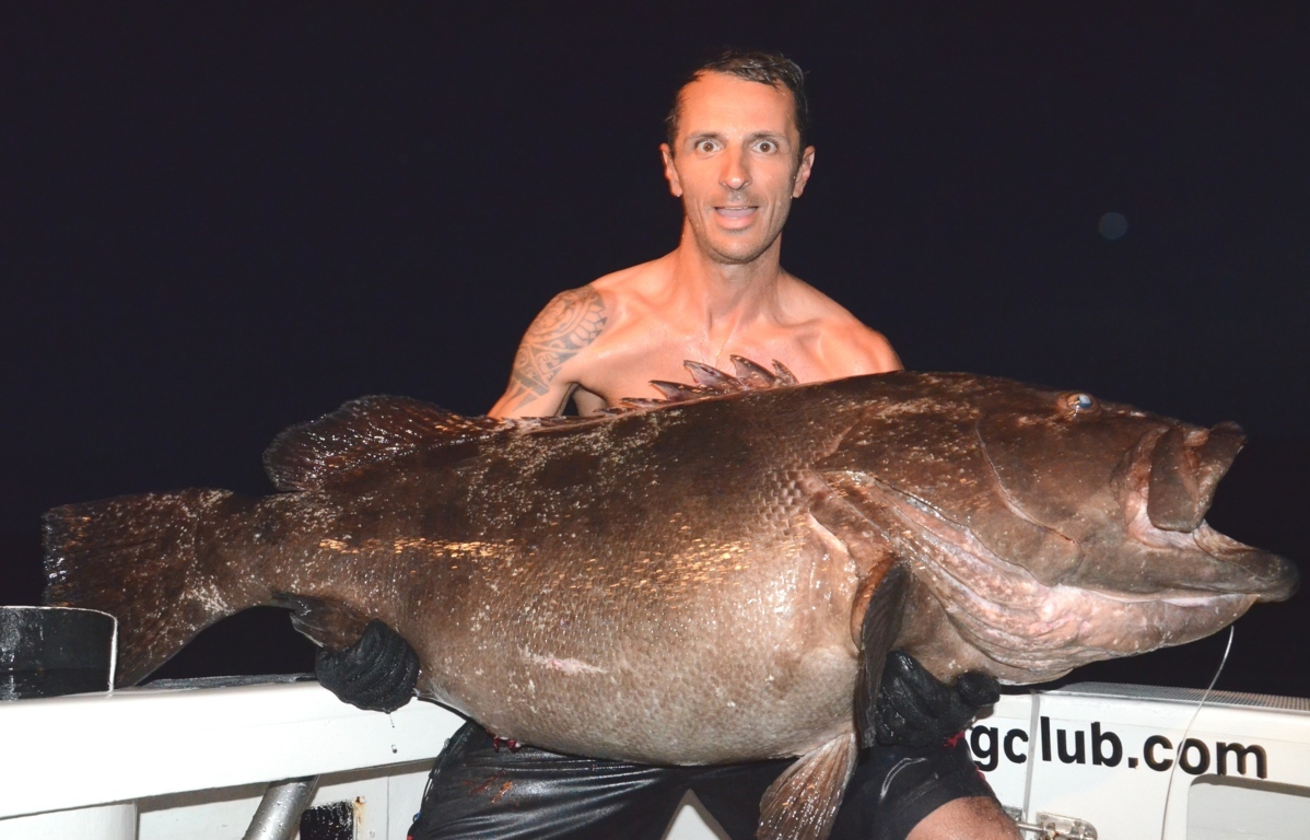 Potato grouper or Epinephelus Tukula fishing technique - Rod Fishing Club - Rodrigues Island - Mauritius - Indian Ocean