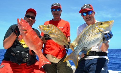 Belle variété en palangrotte - Rod Fishing Club -Ile Rodrigues - Maurice - Océan Indien