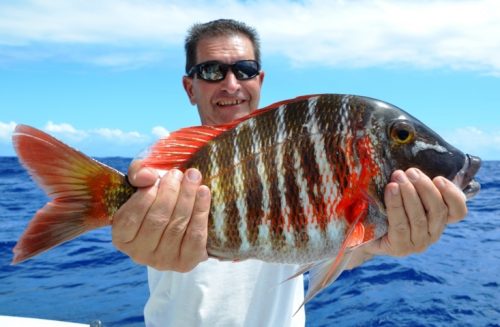 Dame berri en palangrotte - Rod Fishing Club - Ile Rodrigues - Maurice - Océan Indien