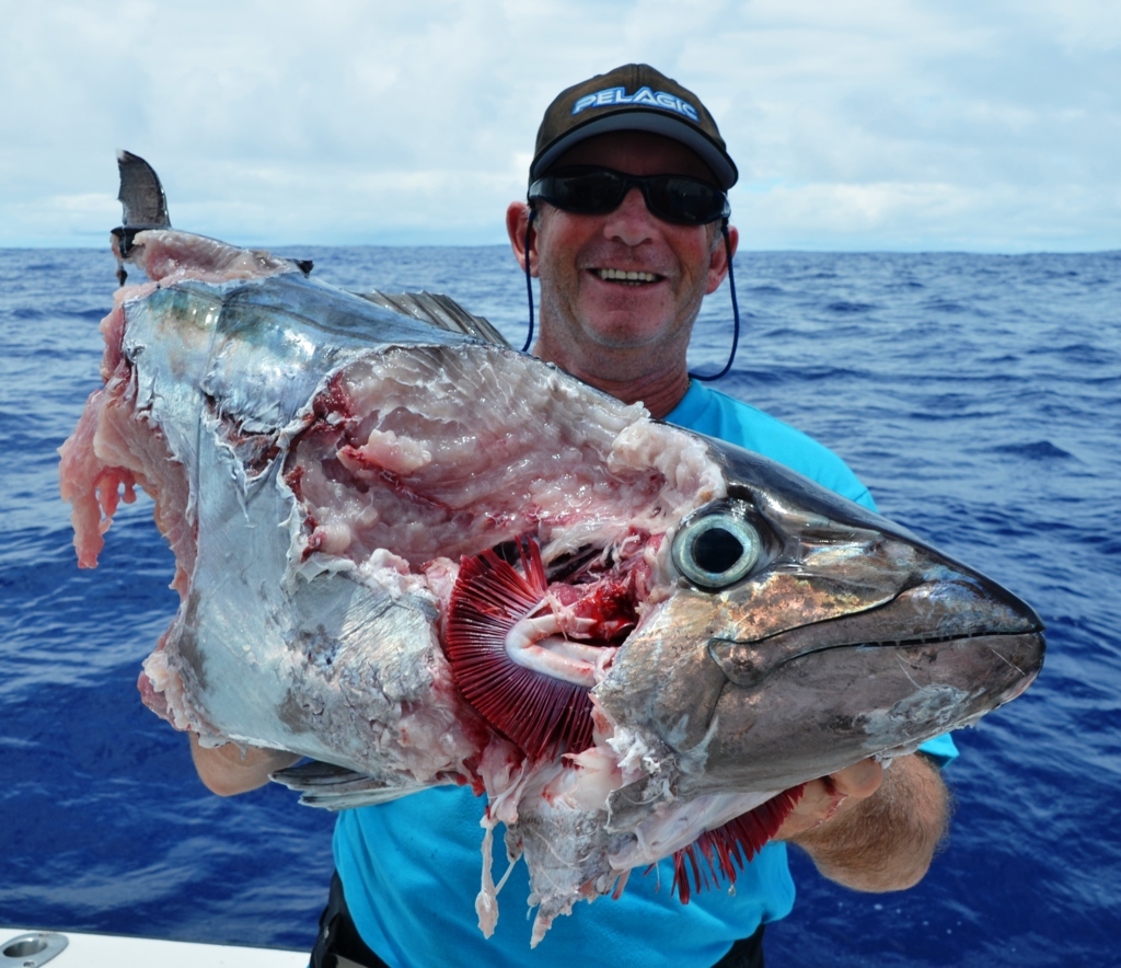 Doggy eaten by shark - Rod Fishing Club - Rodrigues Island - Mauritius - Indian Ocean