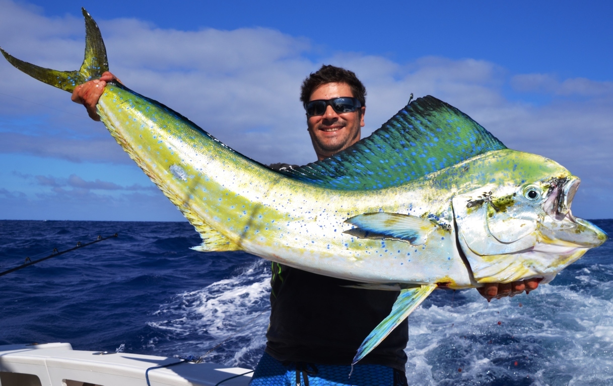 Dorado - Rod Fishing Club - Rodrigues Island - Mauritius - Indian Ocean