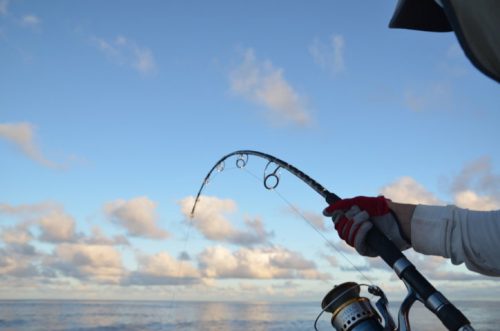 Jigging action - Rod Fishing Club - Ile Rodrigues - Maurice - Océan Indien