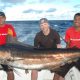 Jérôme et son marlin bleu de 110kg - Rod Fishing Club - Ile Rodrigues - Maurice - Océan Indien