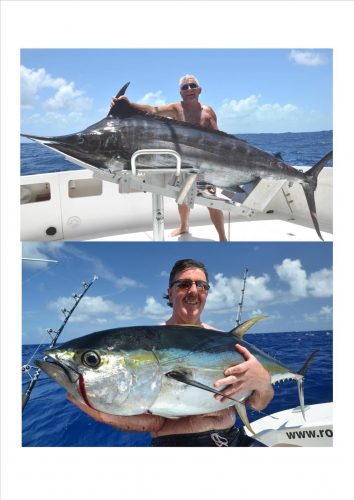 Marlin et thon jaune - Rod Fishing Club - Ile Rodrigues - Maurice - Océan Indien