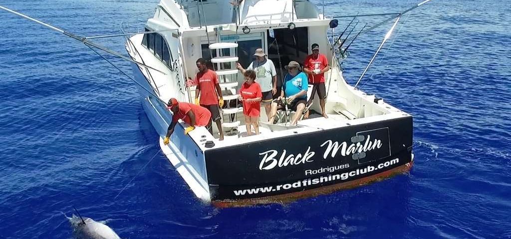 Marlin noir au bateau vu par le drone - Rod Fishing Club - Ile Rodrigues - Maurice - Océan Indien