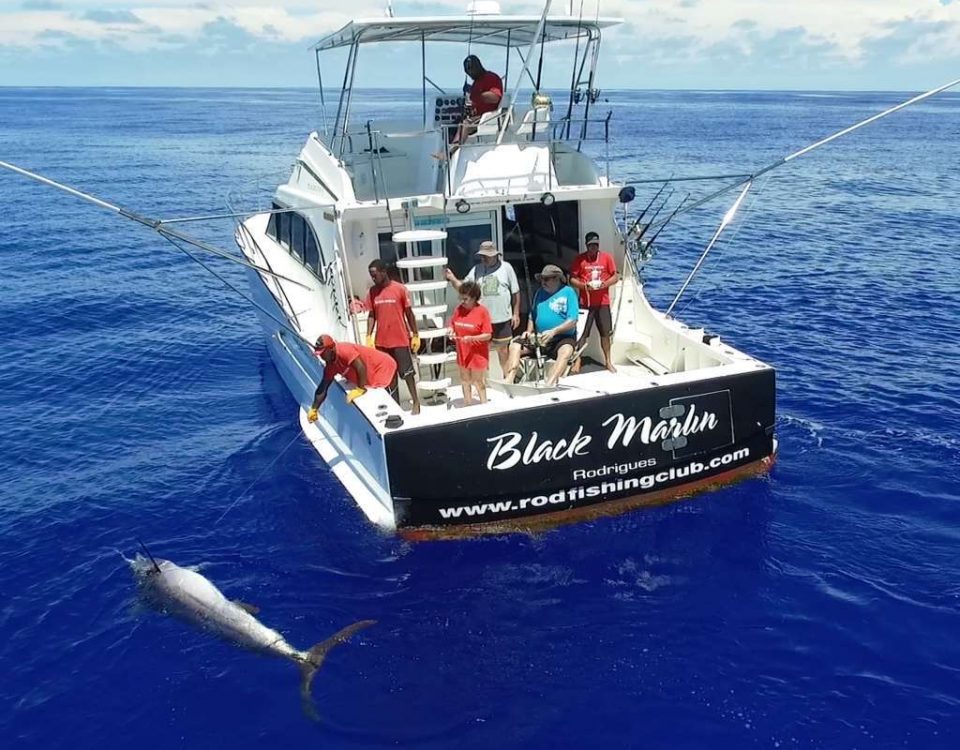 Marlin noir au bateau vu par le drone - Rod Fishing Club - Ile Rodrigues - Maurice - Océan Indien