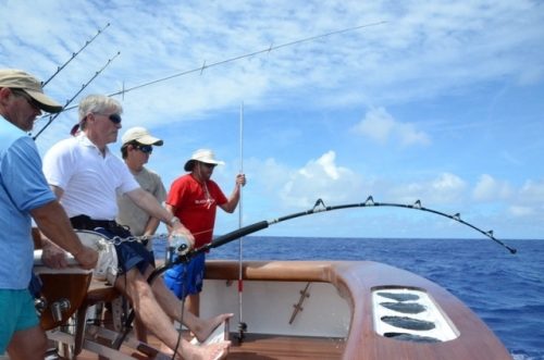 Michel au prise avec un marlin noir de 250kg - Rod Fishing Club - Ile Rodrigues - Maurice - Océan Indien
