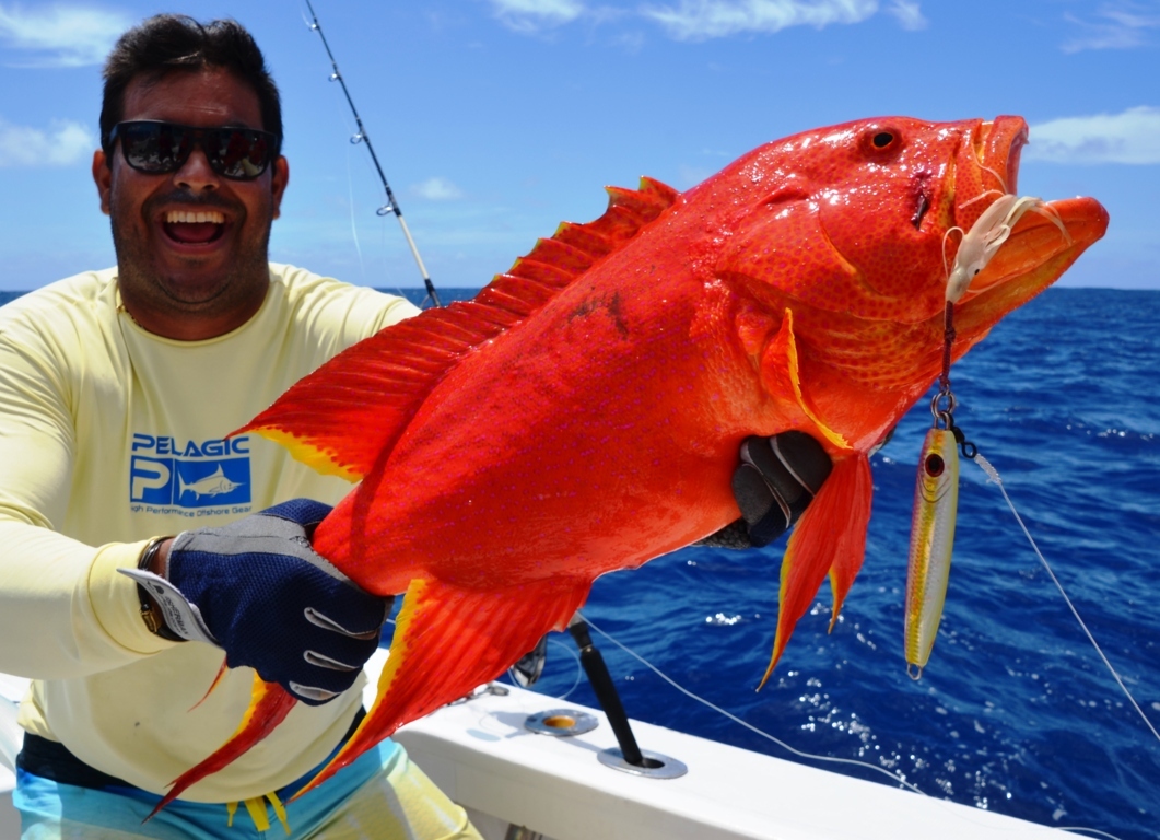 Moontail sea bass or Variola luti fishing technique - Rod Fishing Club - Rodrigues Island - Mauritius - Indian Ocean