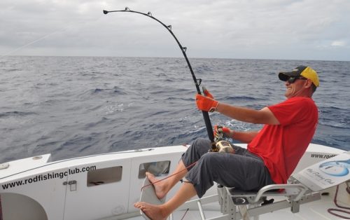 Philippe en action sur un marlin noir - Rod Fishing Club - Ile Rodrigues - Maurice - Océan Indien