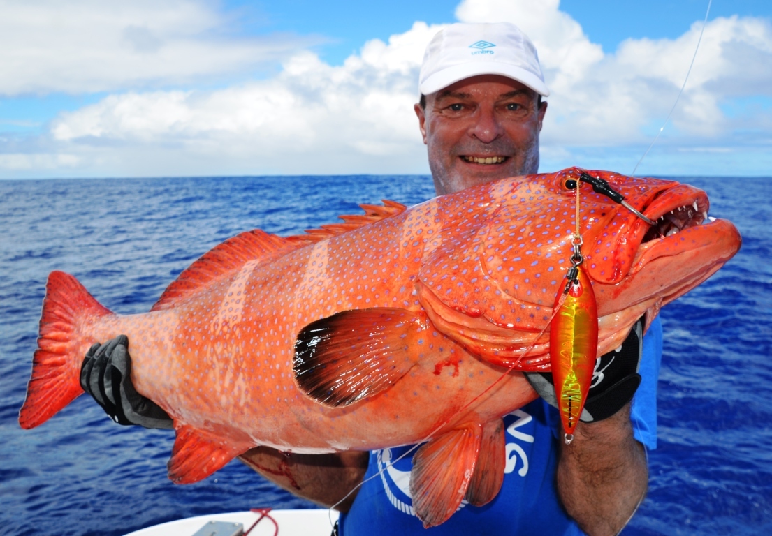 Red coral trout or Plectropomus puntactus - Rod Fishing Club - Rodrigues Island - Mauritius - Indian Ocean