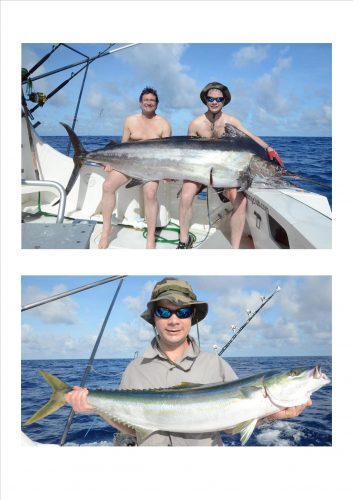 marlin et coureur arc en ciel - Rod Fishing Club - Ile Rodrigues - Maurice - Océan Indien