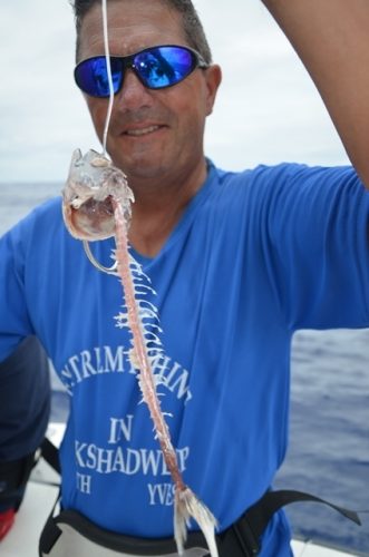 qui a fait çà ? - Rod Fishing Club - Ile Rodrigues - Maurice - Océan Indien