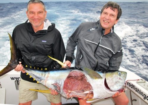 attaque de requin sur un thon jaune - Rod Fishing Club - Ile Rodrigues - Maurice - Océan Indien