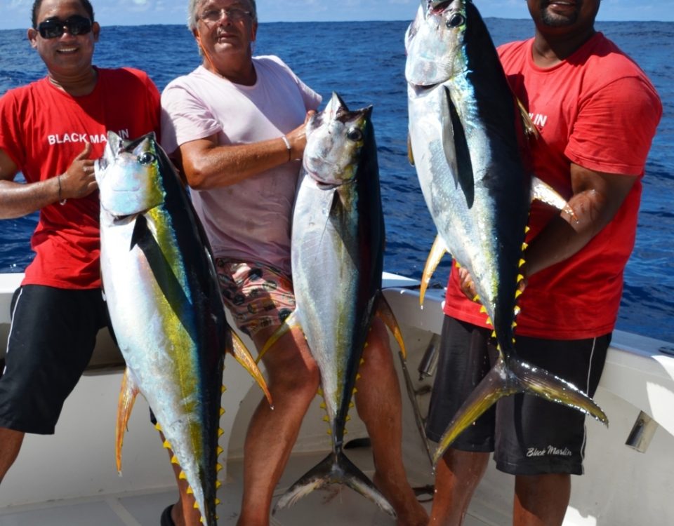 beau triplé de thons jaunes - Rod Fishing Club - Ile Rodrigues - Maurice - Océan Indien