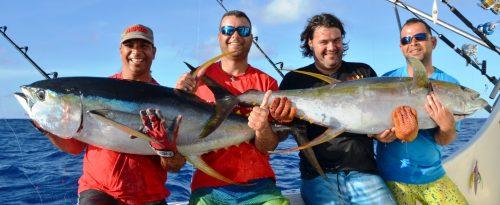 beaux thons jaunes - Rod Fishing Club - Ile Rodrigues - Maurice - Océan Indien
