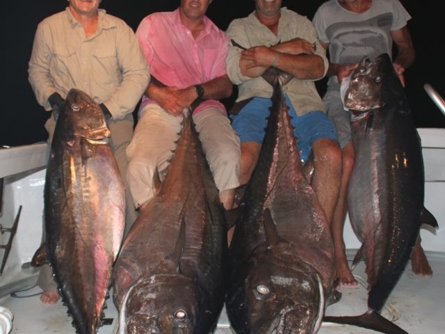 belle brochette de doggies entre 69 et 100.240kg - Rod Fishing Club - Ile Rodrigues - Maurice - Océan Indien