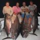 belle brochette de doggies entre 69 et 100.240kg - Rod Fishing Club - Ile Rodrigues - Maurice - Océan Indien