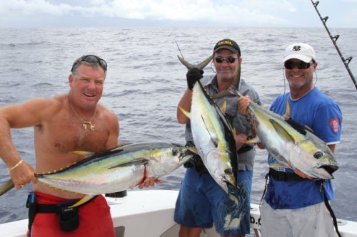 belle brochette de thons jaune - Rod Fishing Club - Ile Rodrigues - Maurice - Océan Indien