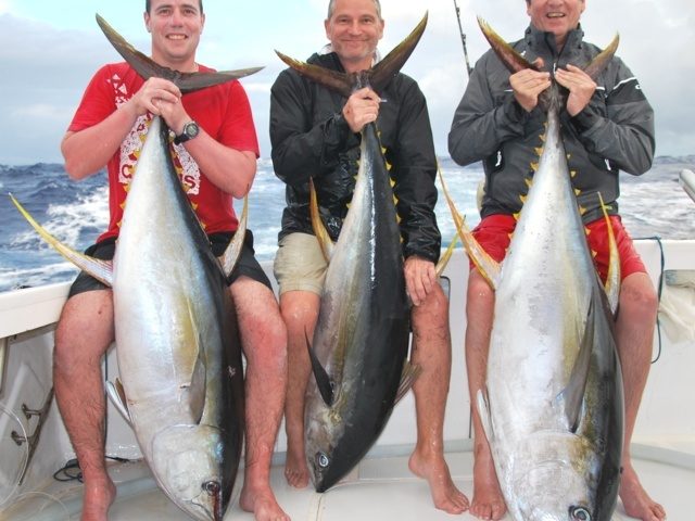 belle brochette de thons jaunes - Rod Fishing Club - Ile Rodrigues - Maurice - Océan Indien