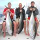 belle brochette de thons jaunes - Rod Fishing Club - Ile Rodrigues - Maurice - Océan Indien