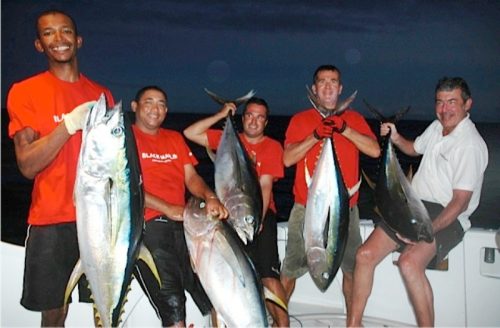 belle brochette de thons jaunes de + 40kg - Rod Fishing Club - Ile Rodrigues - Maurice - Océan Indien