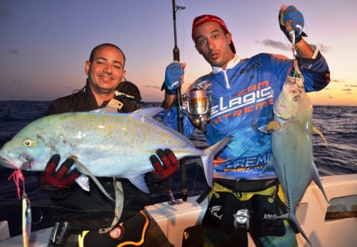 belle diversité en jigging - Rod Fishing Club - Ile Rodrigues - Maurice - Océan Indien