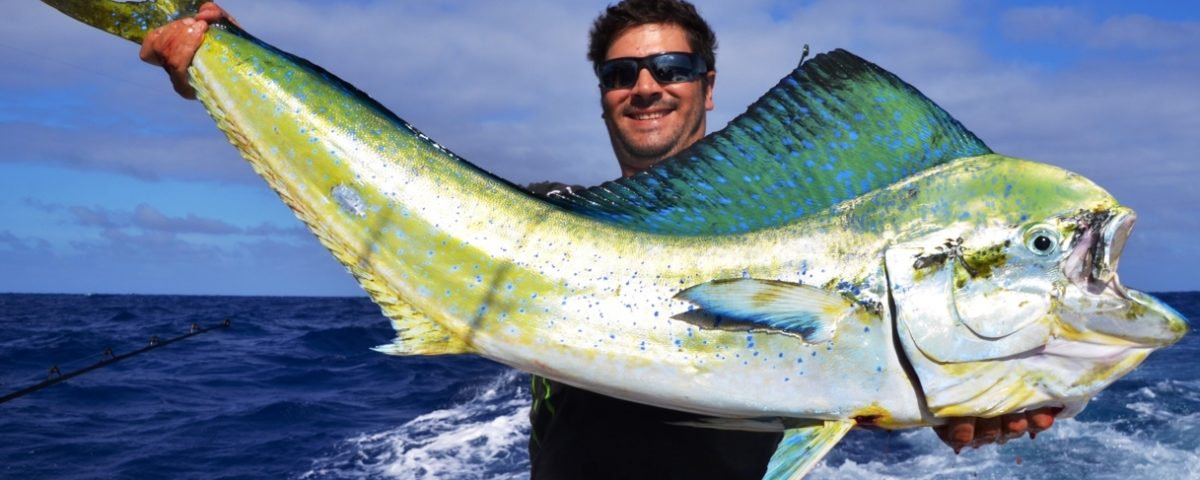 belle dorade coryphène pour Greg - Rod Fishing Club - Rodrigues Island - Mauritius - Indian Ocean