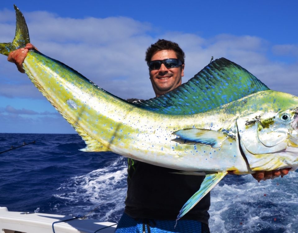 belle dorade coryphène pour Greg - Rod Fishing Club - Rodrigues Island - Mauritius - Indian Ocean