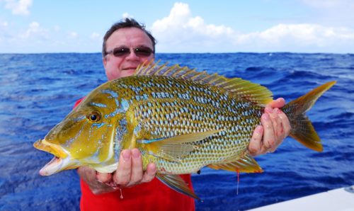 capitaine pris en palangrotte - Rod Fishing Club - Ile Rodrigues - Maurice - Océan Indien