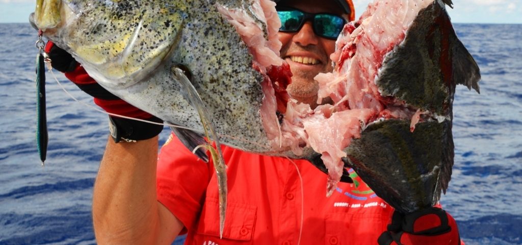 carangue bleue sectionnée - Rod Fishing Club - Ile Rodrigues - Maurice - Océan Indien