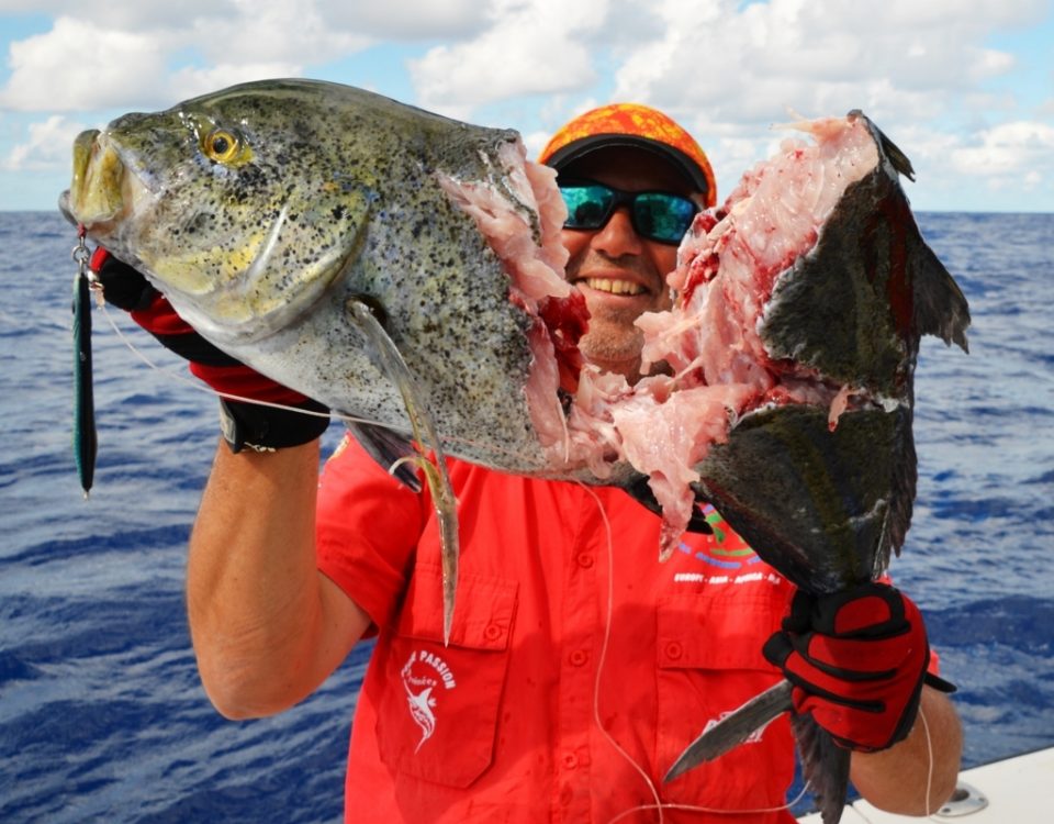 carangue bleue sectionnée - Rod Fishing Club - Ile Rodrigues - Maurice - Océan Indien