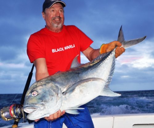 carangue ignobilis (GT) relâchée - Rod Fishing Club - Ile Rodrigues - Maurice - Océan Indien