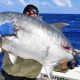 carangue ignobilis de 40kg relâché par Marc - Rod Fishing Club - Ile Rodrigues - Maurice - Océan Indien