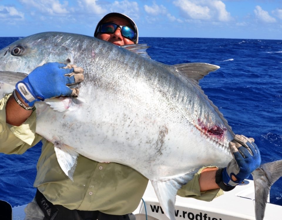 carangue ignobilis de 40kg relâché par Marc - Rod Fishing Club - Ile Rodrigues - Maurice - Océan Indien