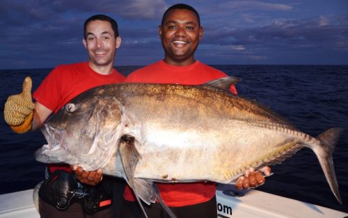 carangue ignobilis de plus de 35kg relâchée par Loic - Rod Fishing Club - Ile Rodrigues - Maurice - Océan Indien
