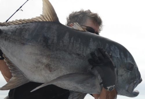 carangue ignobilis d' une vingtaine de kg relâchée - Rod Fishing Club - Ile Rodrigues - Maurice - Océan Indien