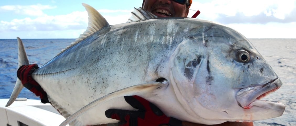 carangue ignobilis ou GT relâchée - Rod Fishing Club - Ile Rodrigues - Maurice - Océan Indien